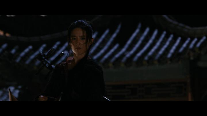 Liu Yifei in The Forbidden Kingdom (2008)