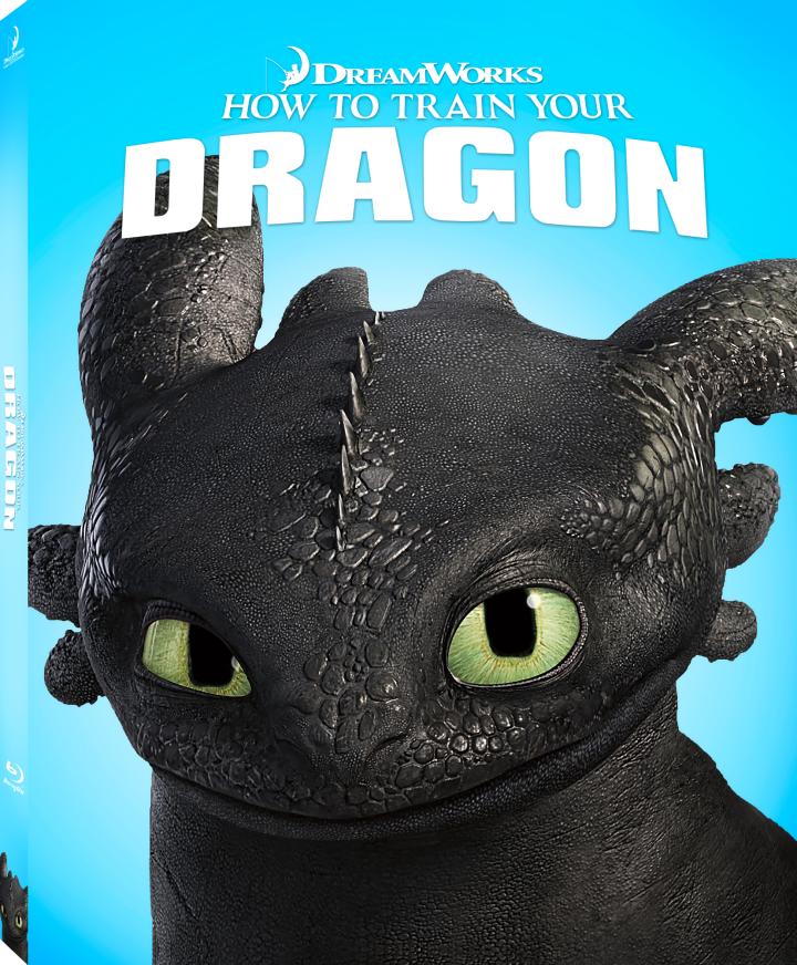 How to Train Your Dragon (2010)