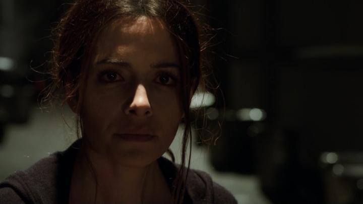 Sarah Shahi in Person of Interest (2011)