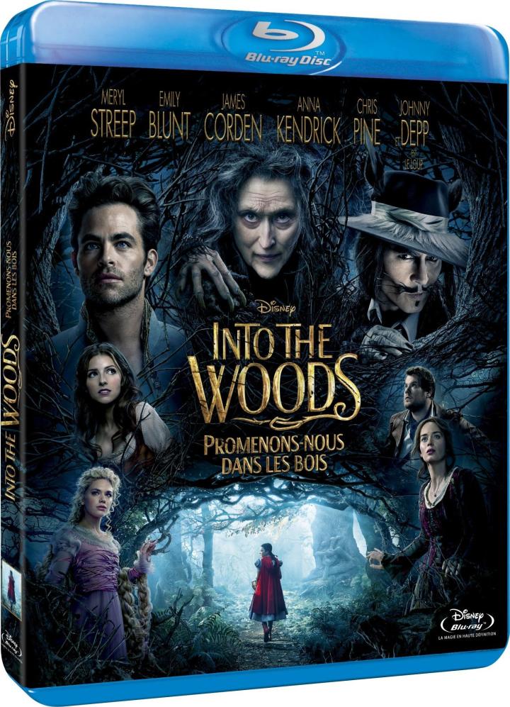 Into the Woods (2014)