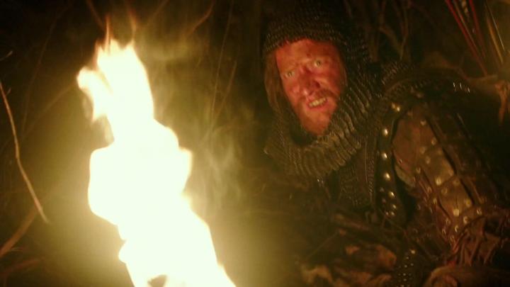 The Last Witch Hunter (2015)