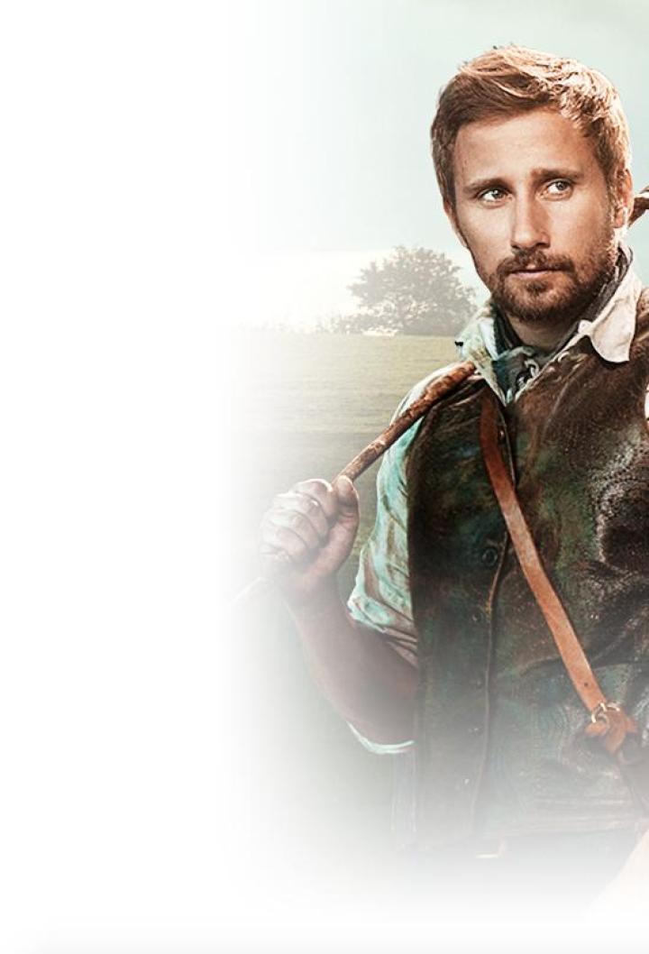 Far from the Madding Crowd (2015)