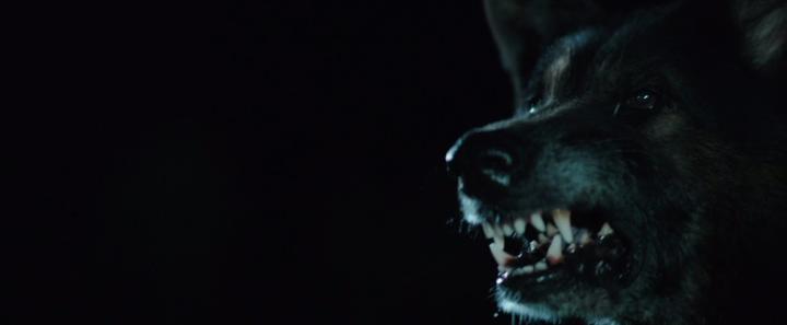 The Pack (2015)