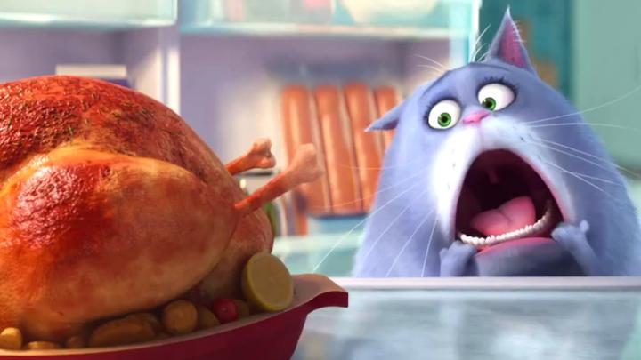 Lake Bell in The Secret Life of Pets (2016)