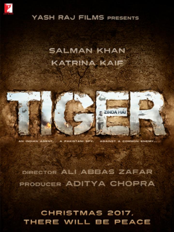 Tiger Zinda Hai (2017)