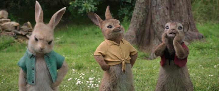 Margot Robbie, Elizabeth Debicki, and Daisy Ridley in Peter Rabbit (2018)