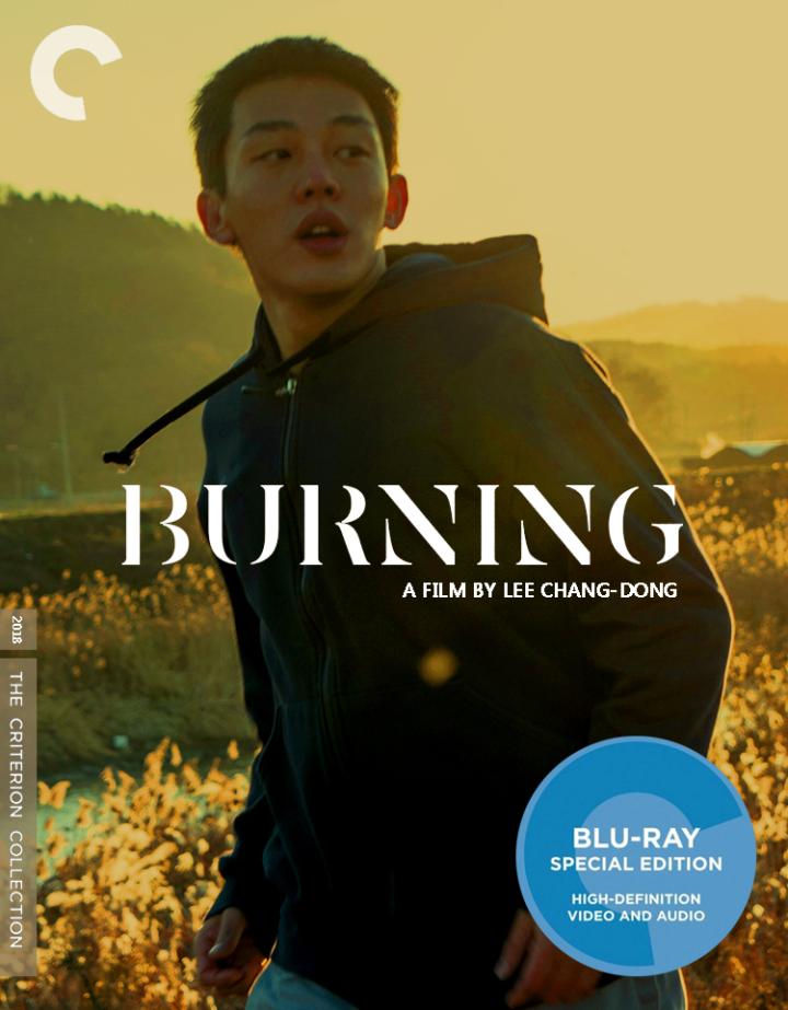 Yoo Ah-in in Burning (2018)