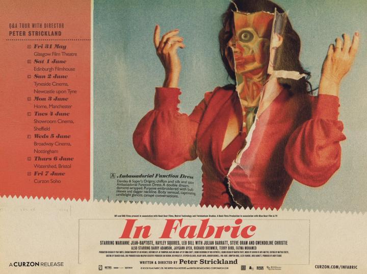 In Fabric (2018)