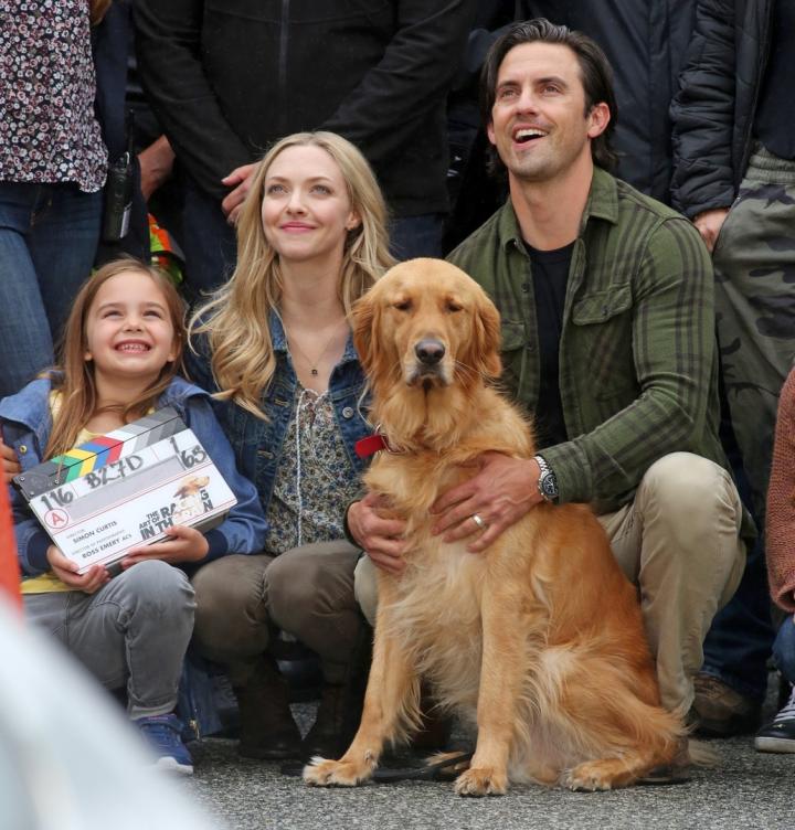 Milo Ventimiglia, Amanda Seyfried, and Butler in The Art of Racing in the Rain (2019)