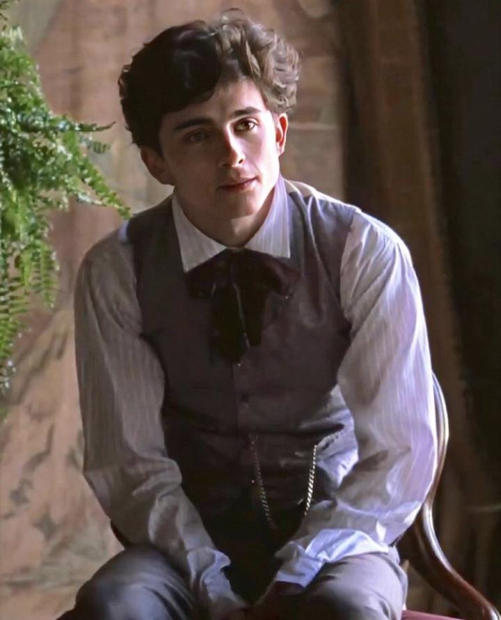 Timothée Chalamet in Little Women (2019)