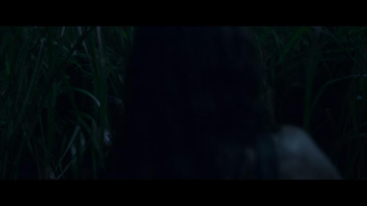 Laysla De Oliveira in In the Tall Grass (2019)