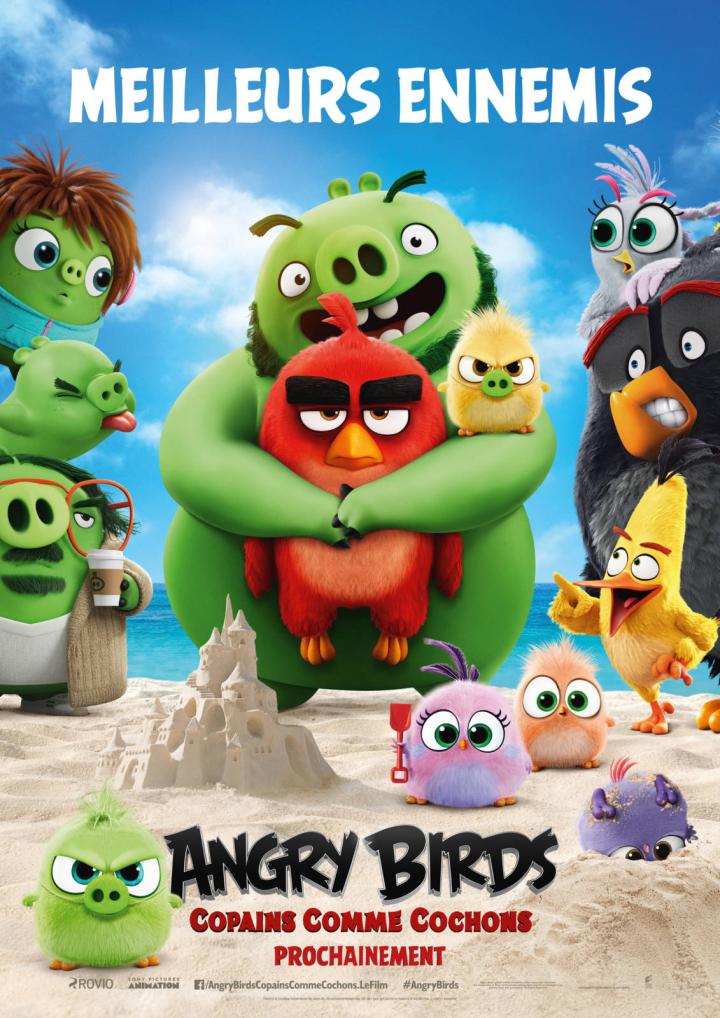 The Angry Birds Movie 2 (2019)