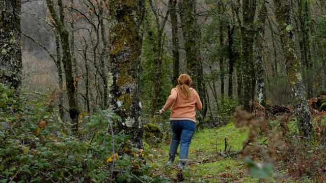 دانلود سریال The Crystal Cuckoo