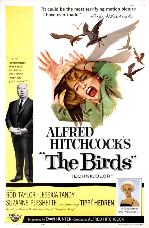 فیلم  The Birds 1963