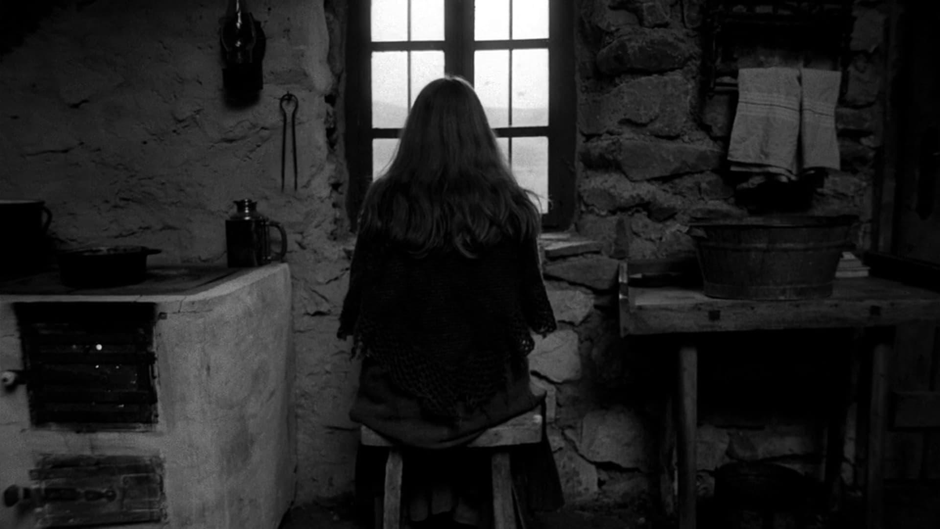 فیلم The Turin Horse 2011 با زیرنویس چسبیده