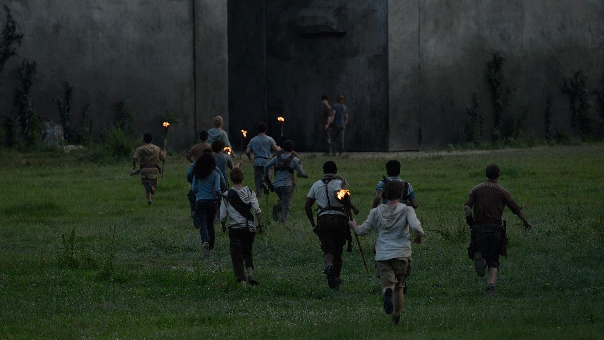 فیلم  The Maze Runner 2014 با زیرنویس چسبیده