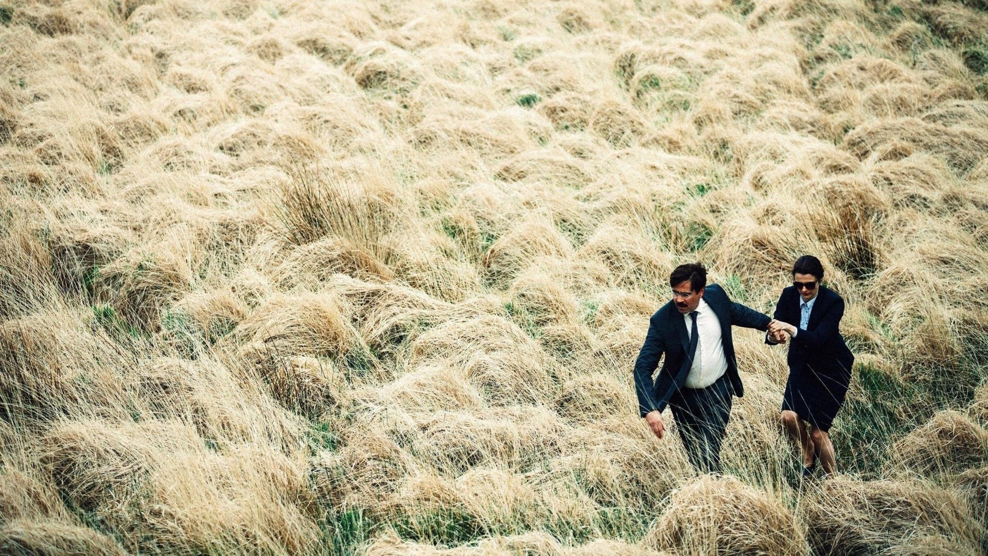 فیلم  The Lobster 2015 با زیرنویس چسبیده