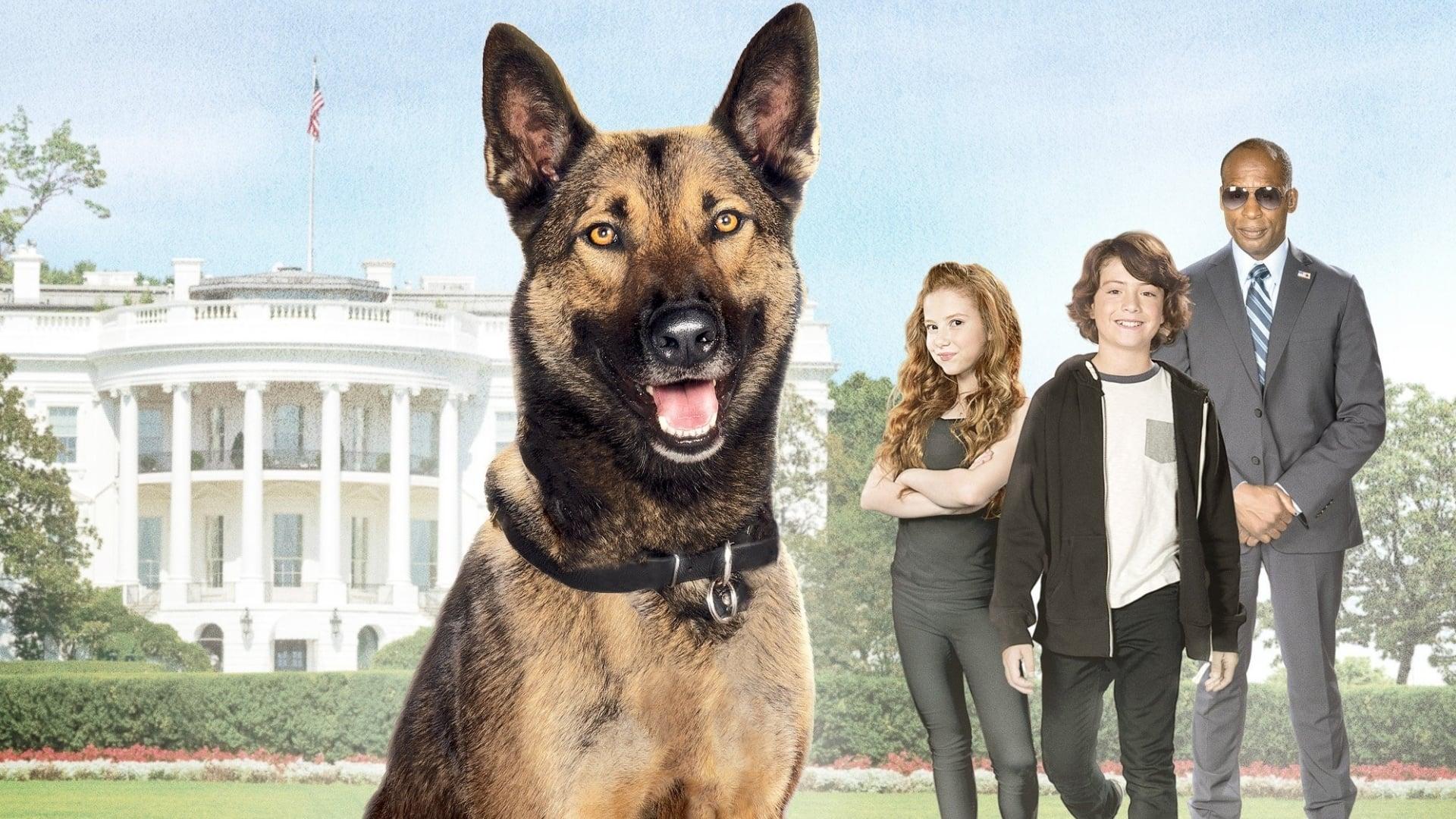 فیلم  Max 2: White House Hero 2017 با زیرنویس چسبیده