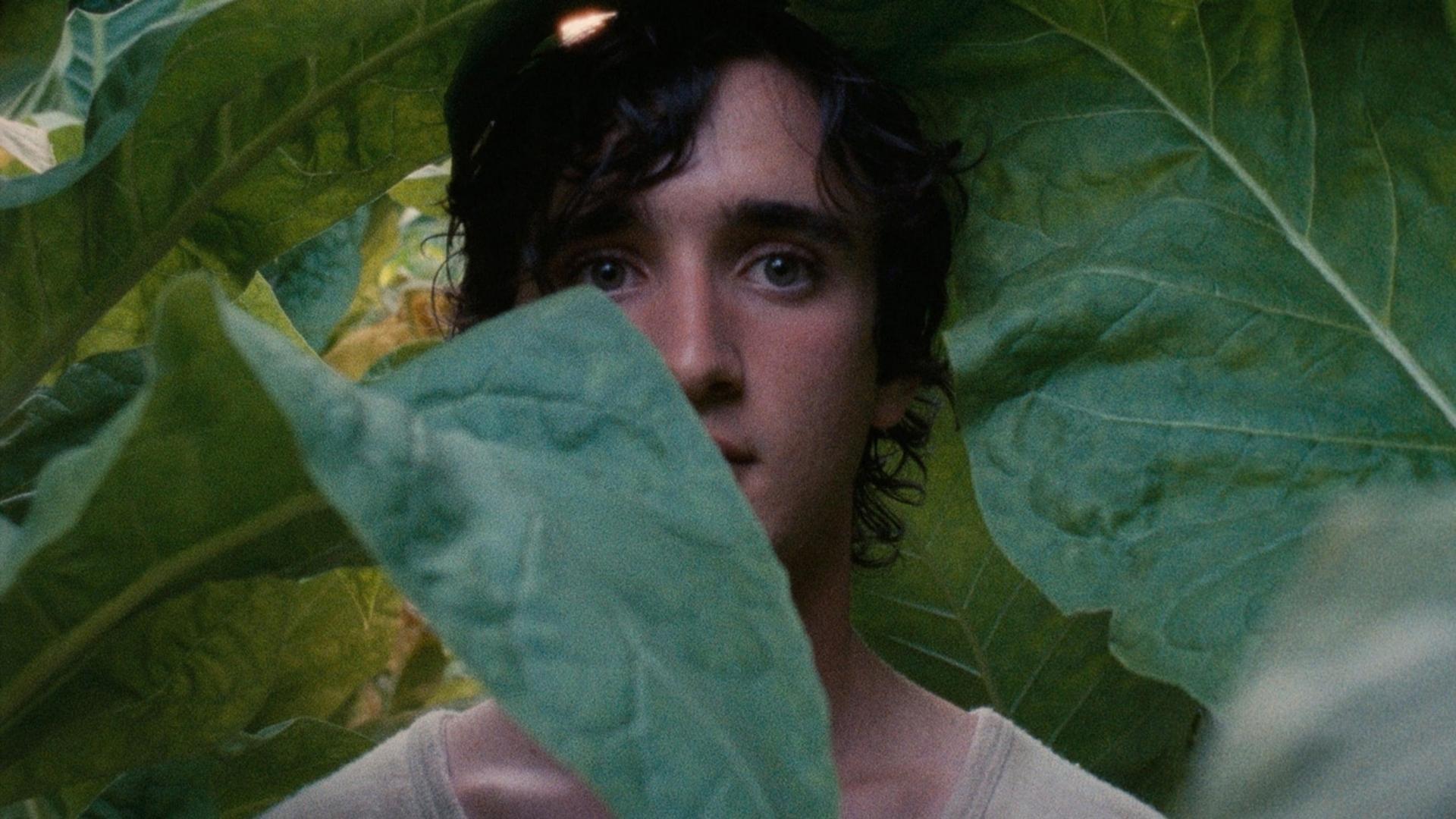 فیلم  Happy as Lazzaro 2018 با زیرنویس چسبیده