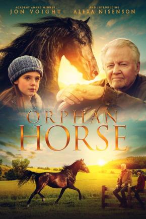 دانلود فیلم  Orphan Horse 2018