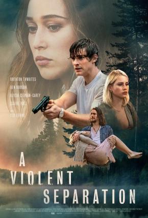 دانلود فیلم  A Violent Separation 2019