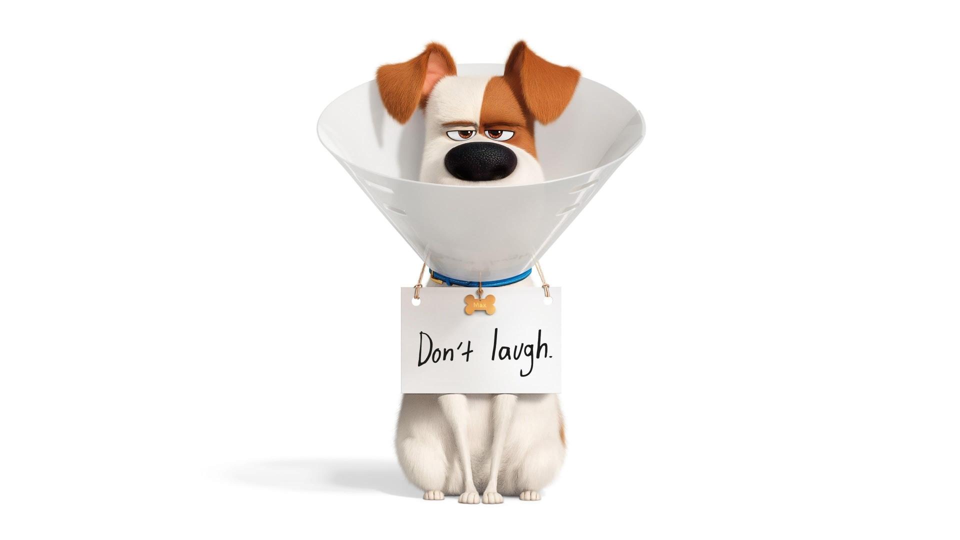 انیمیشن  The Secret Life of Pets 2 2019 با زیرنویس چسبیده