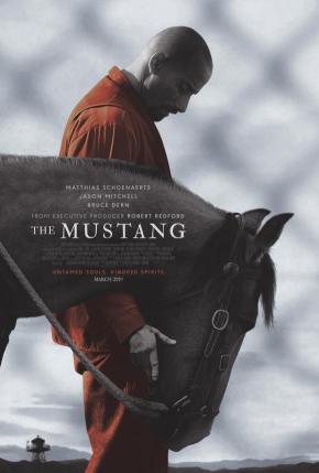 دانلود فیلم  The Mustang 2019