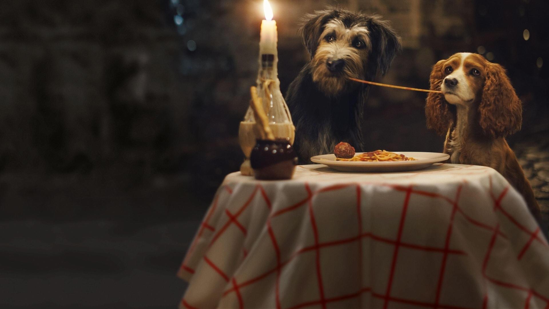 فیلم  Lady and the Tramp 2019 با زیرنویس چسبیده