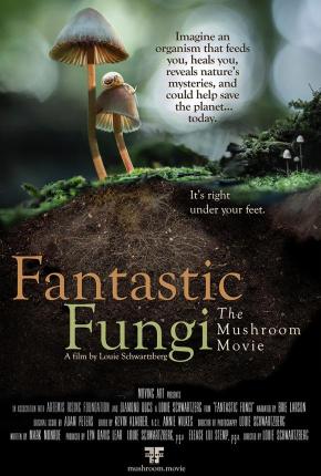 دانلود مستند  Fantastic Fungi 2019