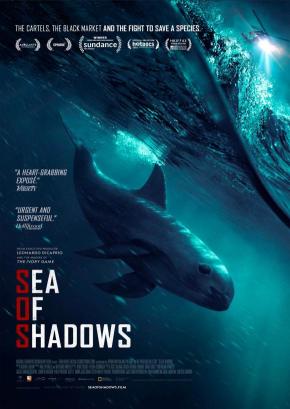 دانلود مستند  Sea of Shadows 2019