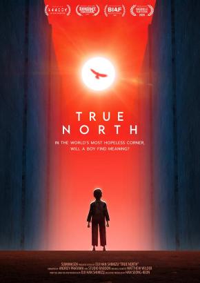 دانلود انیمه  True North 2020