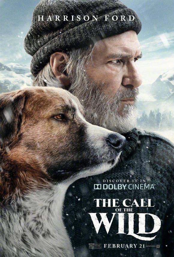 فیلم  The Call of the Wild 2020