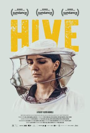 دانلود فیلم  Hive 2021