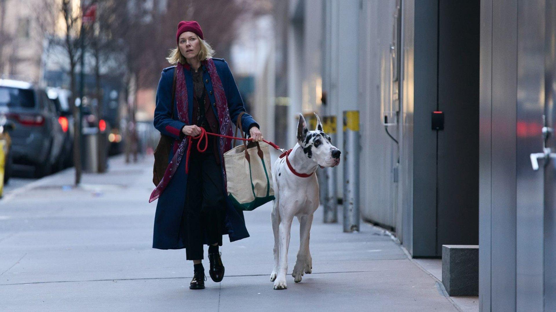 فیلم The Friend 2024 با زیرنویس چسبیده