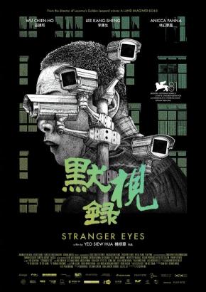 دانلود فیلم Stranger Eyes 2024