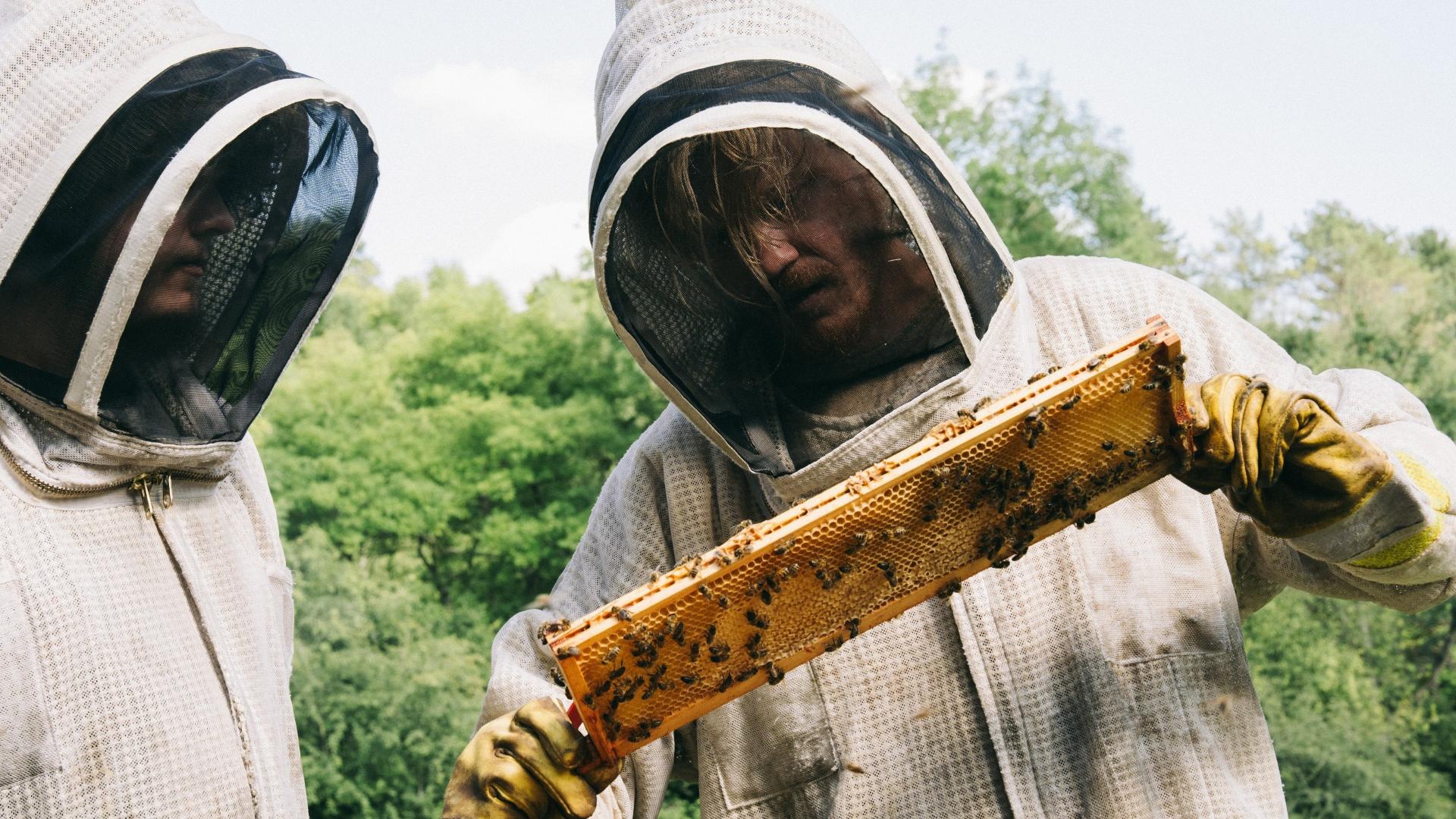 فیلم Bugonia 2025 با زیرنویس چسبیده