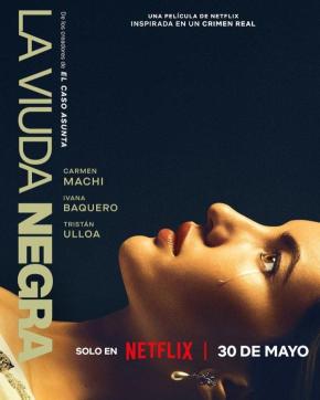 دانلود فیلم A Widow's Game 2025