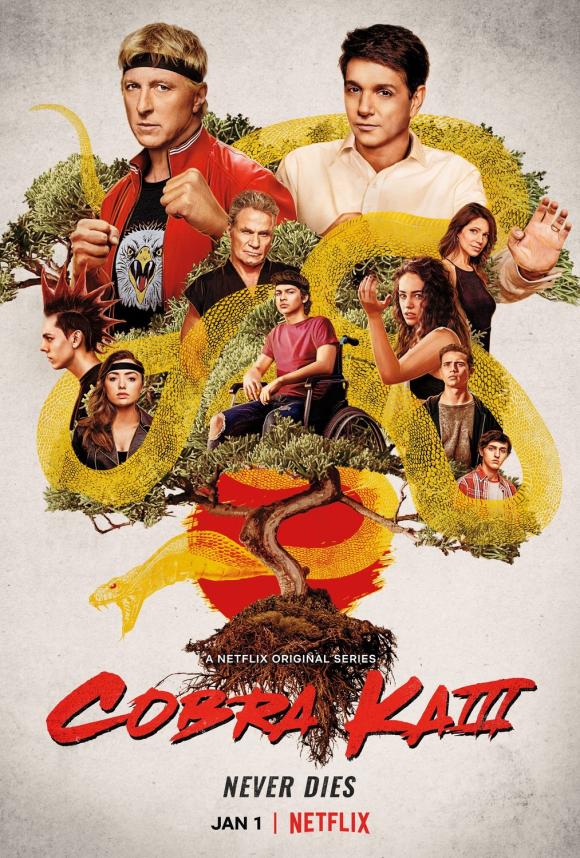 سریال  Cobra Kai