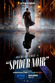 دانلود سریال Spider-Noir